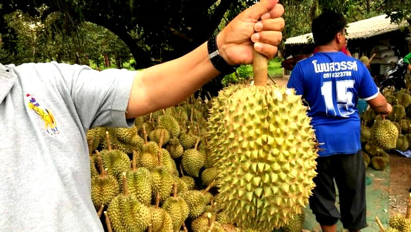 Thai Man Dies After Deadly Combination of Durian and Alcohol