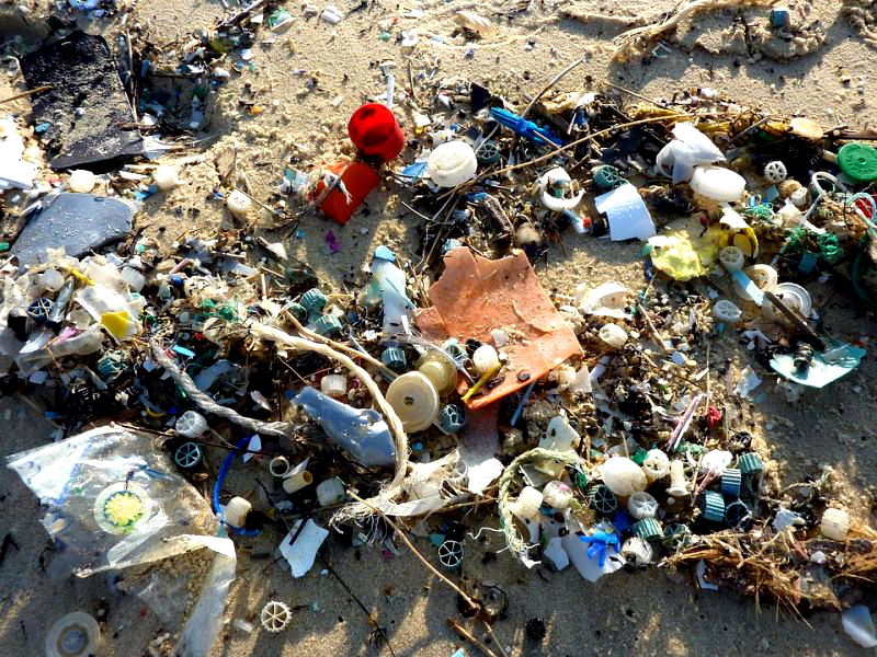 A South Korean scientist is helping to curb climate change by developing biodegradable plastic bags made of materials such as crab shells.