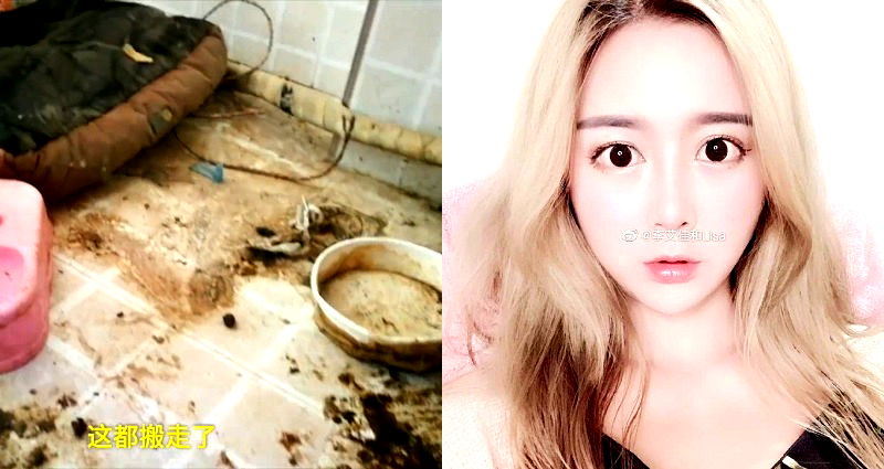 Landlady Exposes ‘Luxury’ Influencer’s Apartment Covered in Trash and Dog Feces