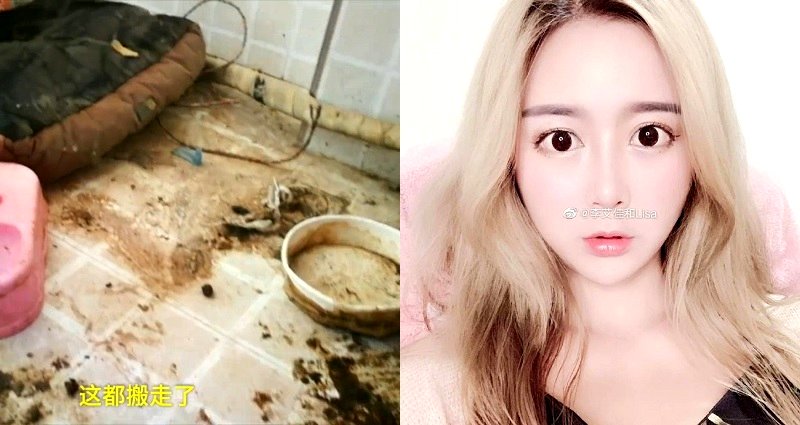 Landlady Exposes ‘Luxury’ Influencer’s Apartment Covered in Trash and Dog Feces