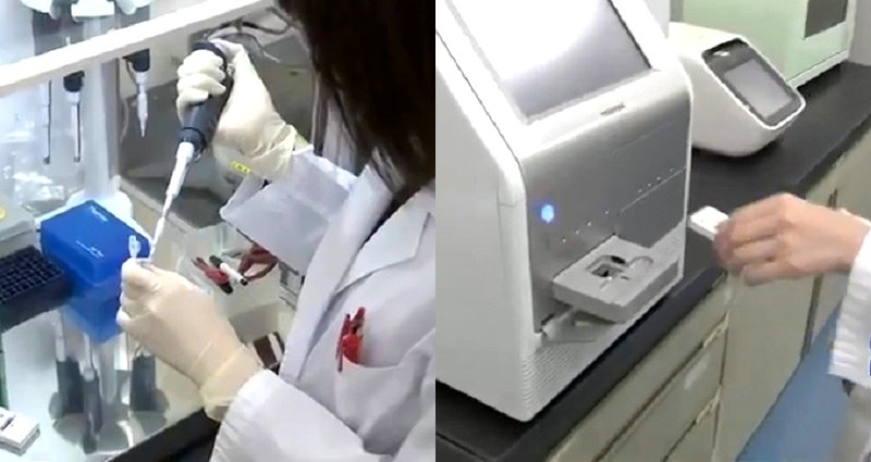 New Toshiba Blood Test Can Detect 13 Types of Cancers With a Drop of Blood