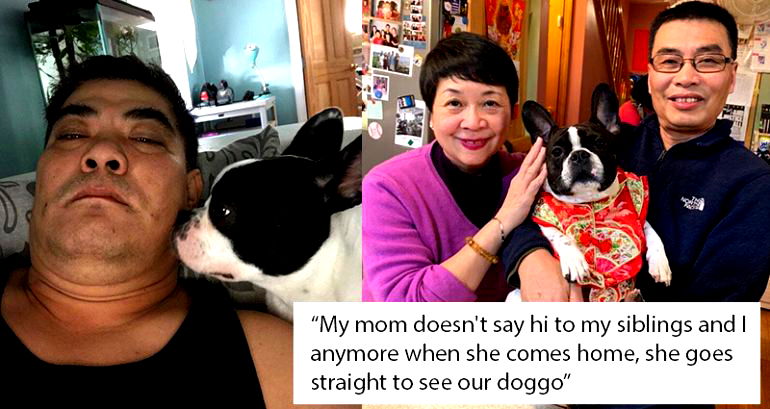 Meet the Asian Parents Who Initially Hated Pets But Are Now Pawsitively in Love