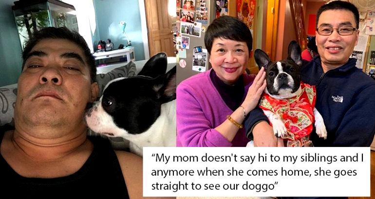 Meet the Asian Parents Who Initially Hated Pets But Are Now Pawsitively in Love