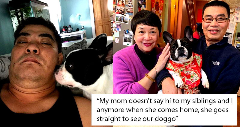 Meet the Asian Parents Who Initially Hated Pets But Are Now Pawsitively in Love