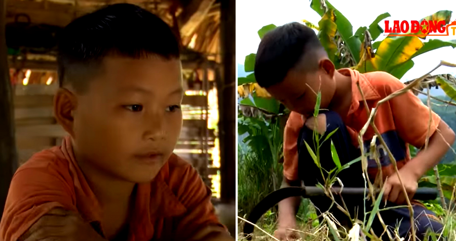 10-Year-Old Vietnamese Boy Survives Alone By Farming After His Dad and Grandma Die