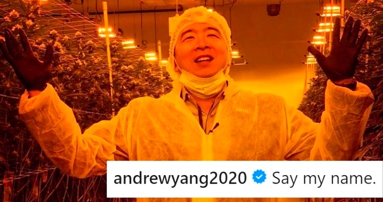 Andrew Yang Went to a Marijuana Facility and Took the Best Picture