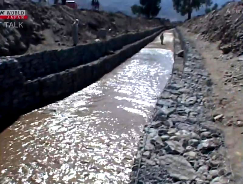 A Japanese doctor who brought canal-building techniques from his hometown to help irrigate arid areas in Afghanistan was killed by a group of gunmen in the eastern part of the country on Wednesday.