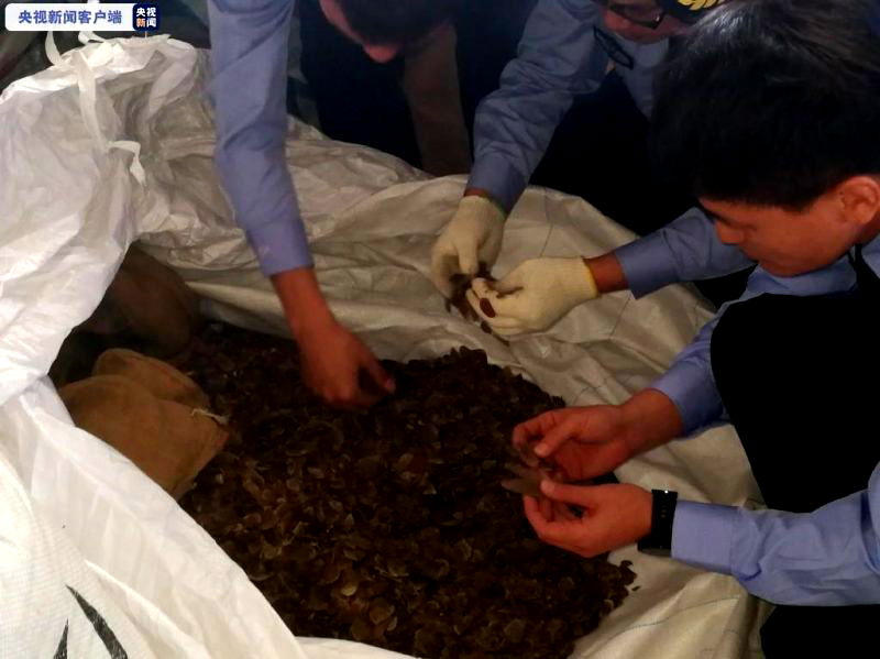 Authorities in eastern China recovered scales of around 50,000 tree pangolins smuggled from Nigeria, customs officials announced on Wednesday.