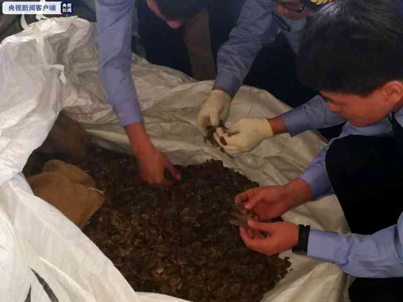 Authorities in eastern China recovered scales of around 50,000 tree pangolins smuggled from Nigeria, customs officials announced on Wednesday.