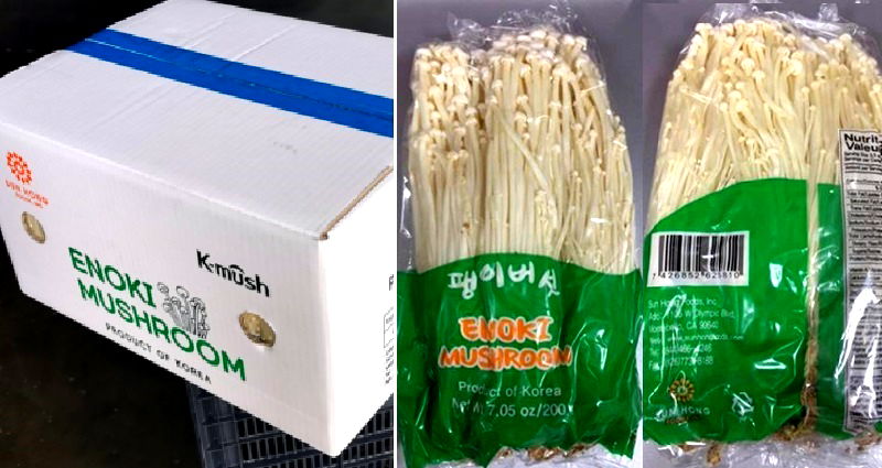 Listeria Outbreak Linked to Enoki Mushrooms Leaves 4 Dead, 30 Hospitalized in the U.S.