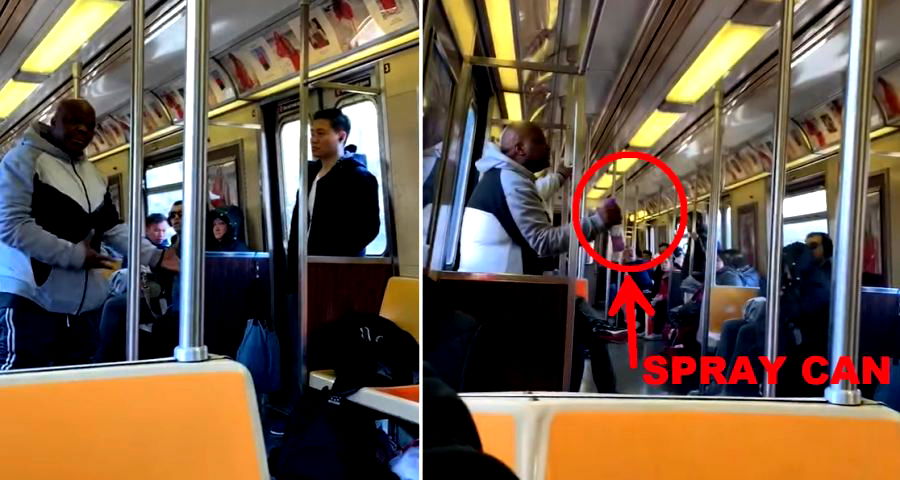 Asian Man Allegedly Harassed on Train By Man Demanding He Move