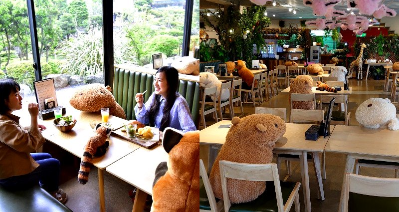 Japanese Zoo Wins at Social Distancing By Using Stuffed Capybaras