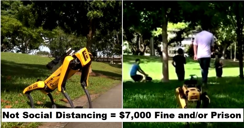Robot Dogs Now Patrol Singapore to Tell People to Social Distance