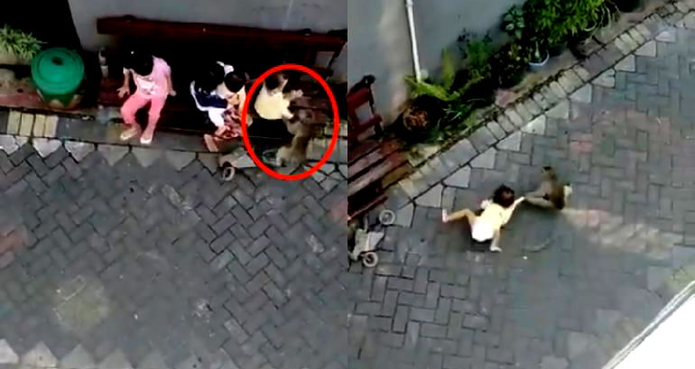 Monkey on a Motorcycle Grabs and Drags Little Girl Down Street in Indonesia