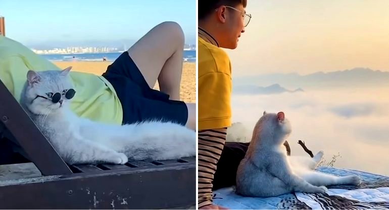 Man Goes on Adventures With His Cat Duoduo to ‘Let Him See the World’