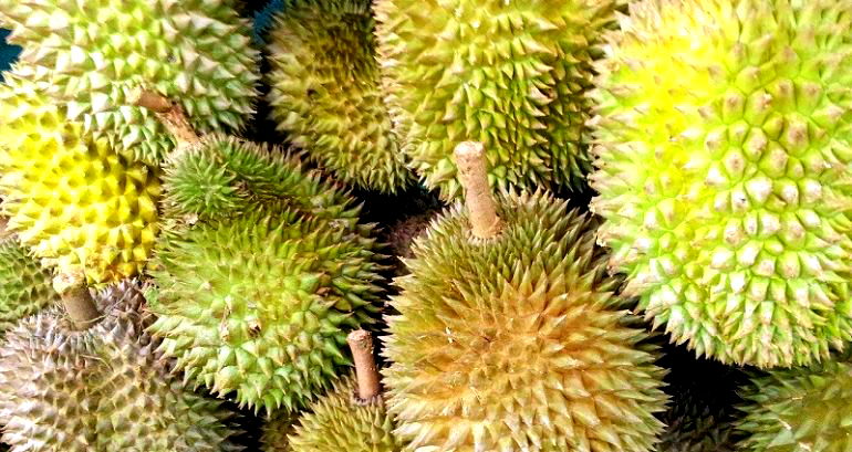 ‘Suspicious’ Package of Durian Puts 6 Postal Workers in Hospital in Germany