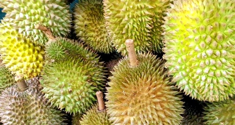 ‘Suspicious’ Package of Durian Puts 6 Postal Workers in Hospital in Germany