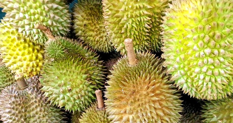 ‘Suspicious’ Package of Durian Puts 6 Postal Workers in Hospital in Germany