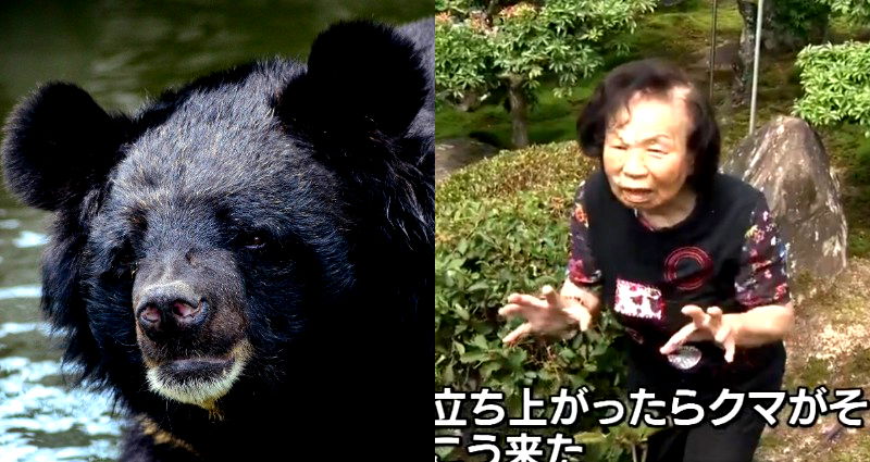 ‘I Sent It Flying’: Japanese Woman, 82, Fights a Bear in Her Backyard and WINS