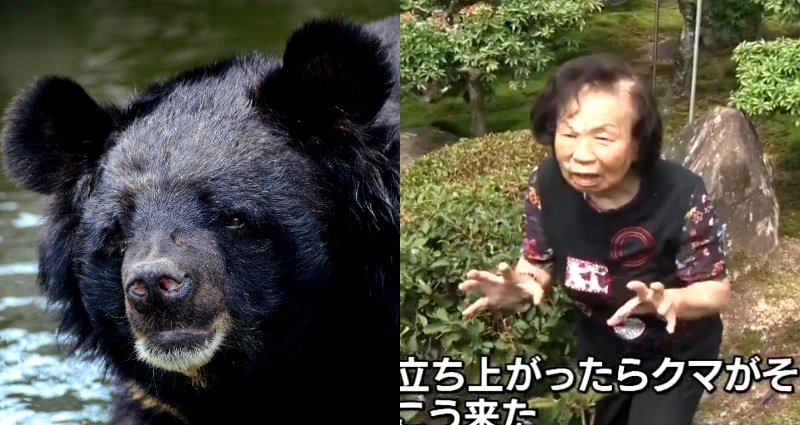 ‘I Sent It Flying’: Japanese Woman, 82, Fights a Bear in Her Backyard and WINS