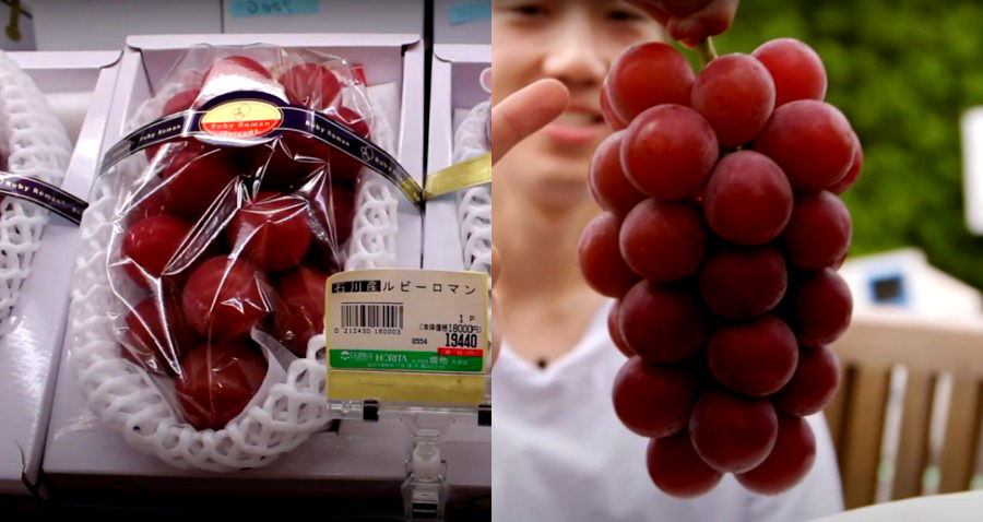 Massive Ruby Roman Grapes Sell for $12,000 in Japanese Auction