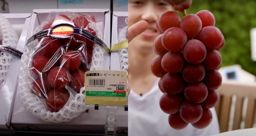 Massive Ruby Roman Grapes Sell for $12,000 in Japanese Auction
