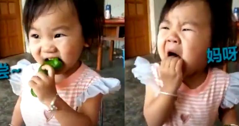 Girl Eating a Chili Pepper is Everyone’s Mood About 2020