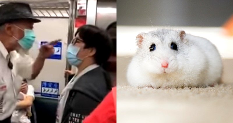 Fight Breaks Out on Train After ‘Asian Karen’ Saves Seat for Her Hamster