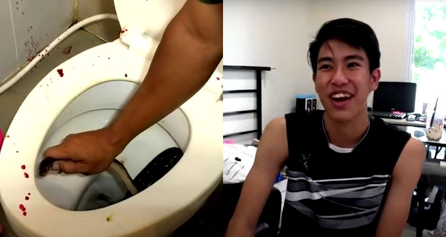 Snake Bites Teen’s Penis While Using the Toilet in Thailand