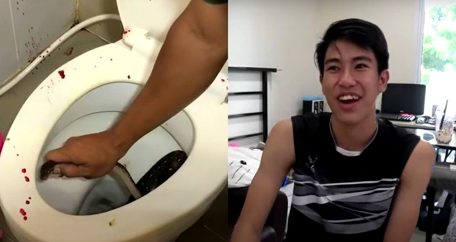 Snake Bites Teen’s Penis While Using the Toilet in Thailand