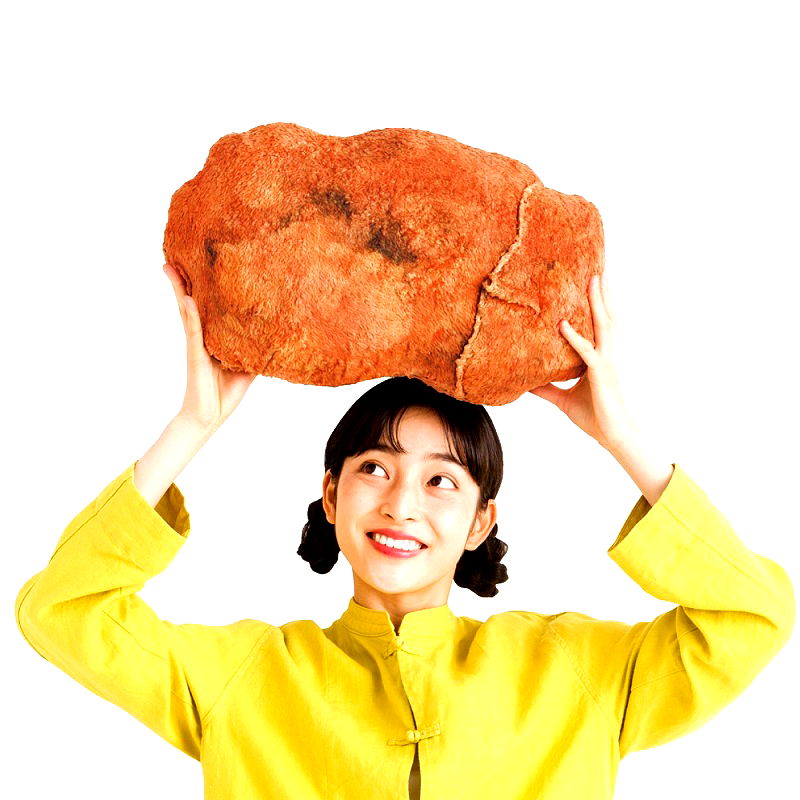 fried chicken pillow