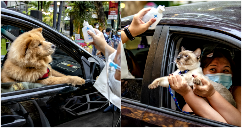 Drive-Through Pet Blessing Held in the Philippines