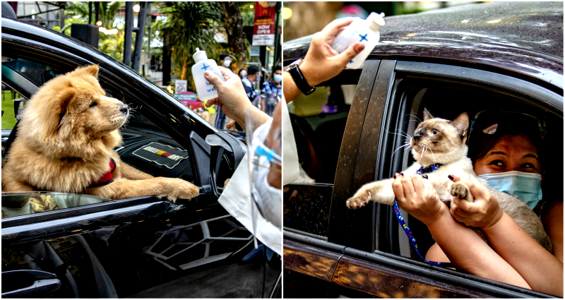 Drive-Through Pet Blessing Held in the Philippines