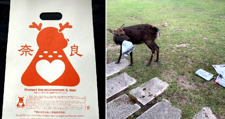 Man Invents Edible Plastic Bags to Save Japan’s Nara Deer From Dying