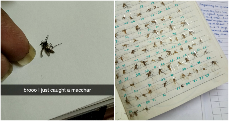 Woman Goes Viral After Showing Off Every Mosquito She’s Killed