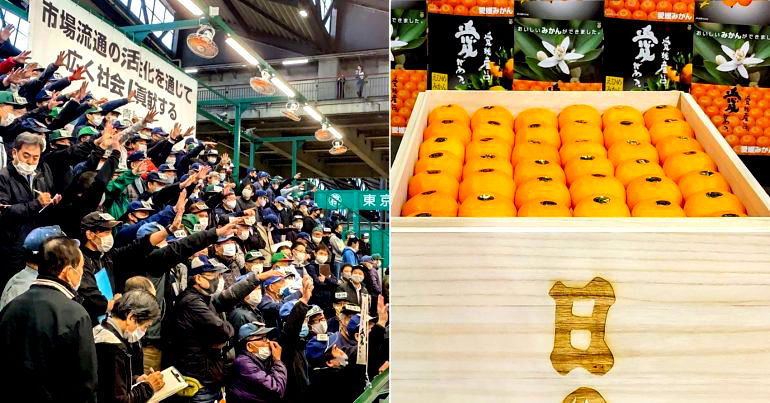 Crate of Special Japanese Oranges Sells for $9,600 at Auction