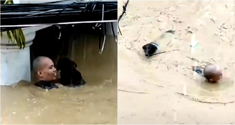 Man Braves Deep Floodwater to Save Dog During Typhoon Ulysses in the Philippines