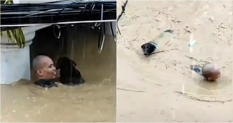 Man Braves Deep Floodwater to Save Dog During Typhoon Ulysses in the Philippines