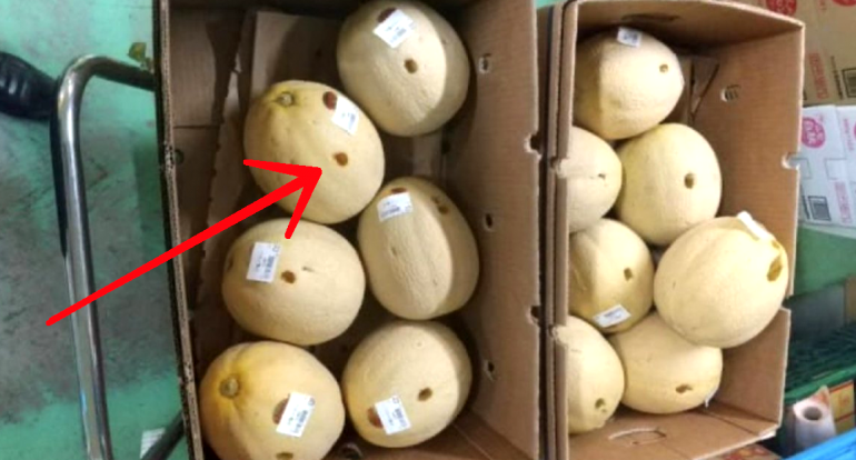 Japanese Woman Arrested After Testing $134 of Melons Too Hard