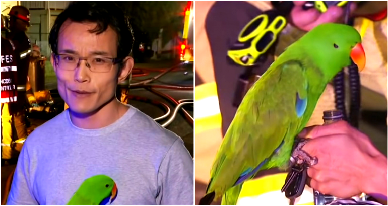‘Anton! Anton!’: Man’s Parrot Yells His Name to Wake Him During Fire, Saves His Life