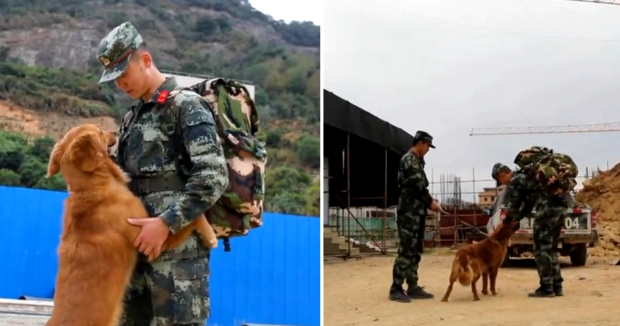 Chinese Army Dog Begs Retiring Handler Not to Go After 2 Years Together