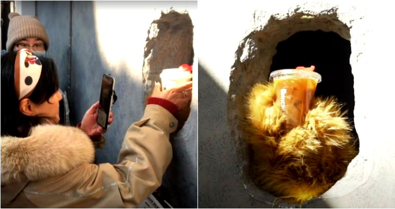 Hard of Hearing Baristas Serve Coffee With ‘Bear Hands’ at Hit Shanghai Café