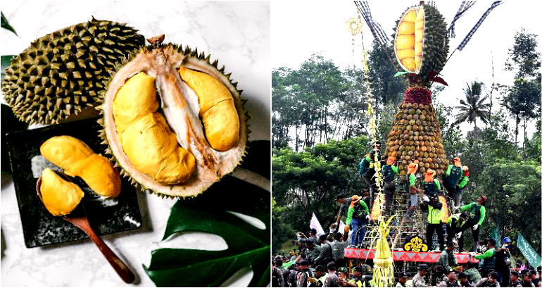 Black Thorn Durian Dethrones Billionaire’s Favored ‘King’ Durian