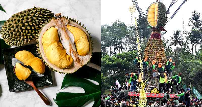 Black Thorn Durian Dethrones Billionaire’s Favored ‘King’ Durian