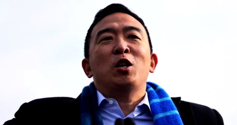 Andrew Yang Takes Lead in Run for NYC Mayor, According to Poll