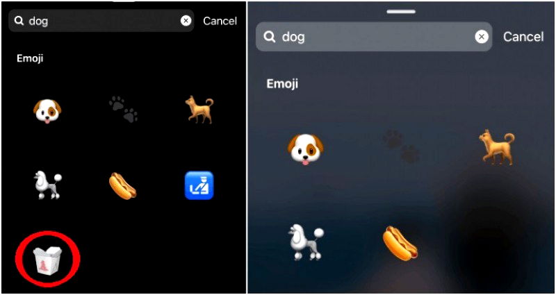 Instagram Finally Removes Chinese Takeout Box Emoji From ‘Dog’ Search Results