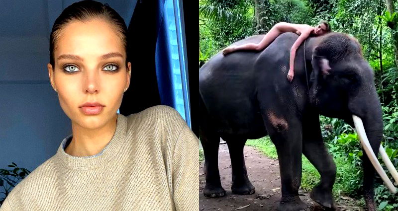 Instagram Influencer Sparks Outrage After Posing Naked on Top of Endangered Elephant in Bali