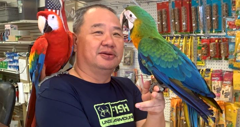 ‘My Heart Got Ripped Out’: Florida Pet Shop Has 150 Birds Worth $75K Stolen