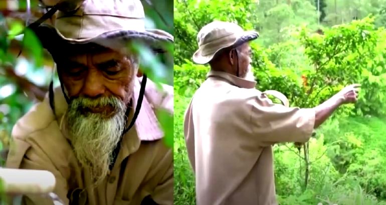 Indonesian Man Plants 11,000 Trees Over 24 Years to Create a New Forest