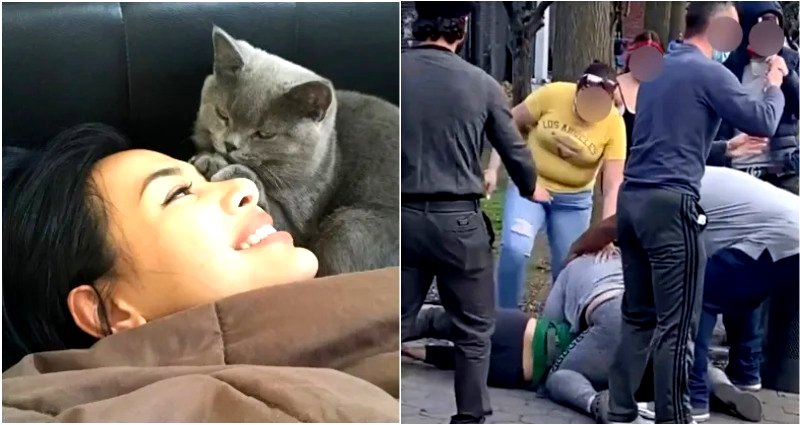Woman Charged For Assaulting Pet Owner in Brooklyn After Death of Instagram Star Cat